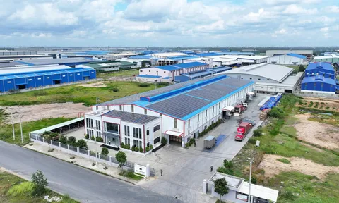 Ngành nhựa: Hãy kiến tạo lối sống xanh vì tương lai bền vững