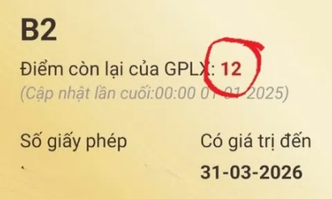 Cách đơn giản để theo dõi điểm và số điểm bị trừ trên bằng lái xe