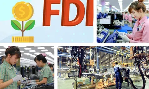 FDI 2024 và triển vọng 2025: Thu hút "đại bàng" về Việt Nam