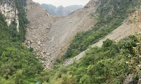 Ninh Bình đề xuất chuyển đổi hơn 120 ha rừng phòng hộ cho 3 “ông lớn” xi măng và vật liệu xây dựng