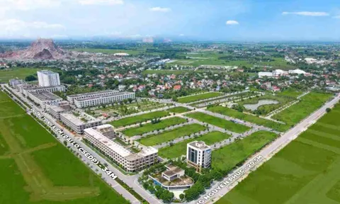 Thanh Hóa: Loạt giám đốc công ty bất động sản bị tạm hoãn xuất cảnh vì nợ thuế