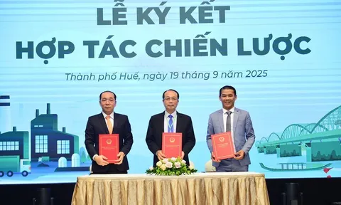 TP Huế, FUTA Group và Kim Long Motor hợp tác xây dựng đô thị di sản – công nghiệp hiện đại