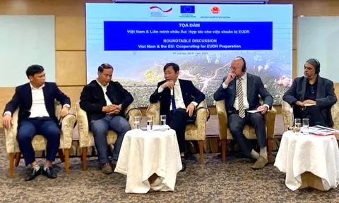 EU kiểm soát hàng nhập khẩu liên quan phá rừng