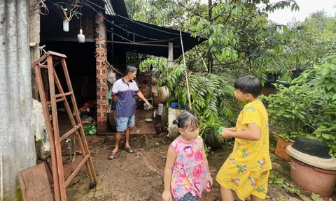 Bệnh nhân xơ gan giữa lằn ranh sống - chết vẫn sống khỏe, yếu tố nào tạo ra 'kỳ tích'?