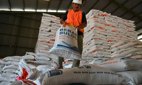 Khủng hoảng lúa gạo Thái Lan: Năng suất giảm, chi phí tăng, giá xuất khẩu thấp nhất 15 năm