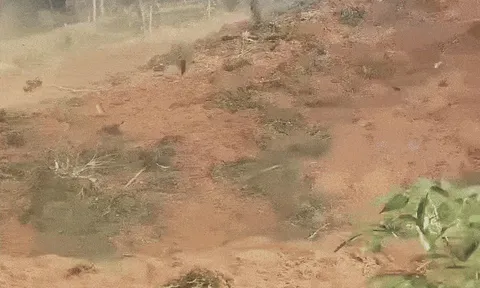 Sập quả đồi ở Đà Nẵng giữa trưa nắng, nghi vùi lấp 3 người