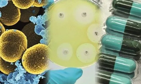 Tình trạng kháng thuốc kháng sinh ngày càng phức tạp