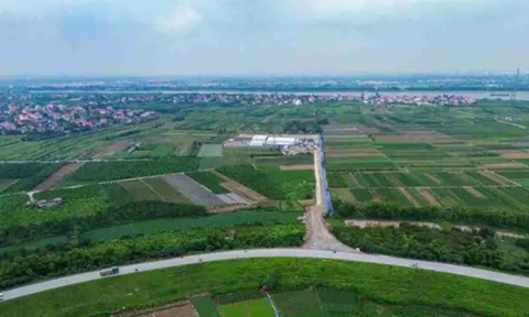 Lộ diện "trụ cột" chính của Kinh Bắc