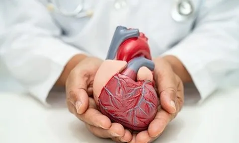 Thêm giải pháp điều trị, phẫu thuật tim mạch ít xâm lấn cho người bệnh