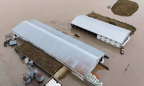 Trận lũ lịch sử cuốn trôi nhà cửa, cô lập hàng nghìn gia đình ở bang Washington