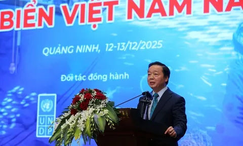 Tiếp tục hoàn thiện chính sách, cơ chế "kinh tế biển xanh"