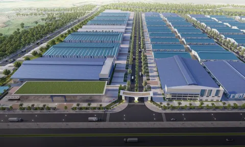 Thuê kho bãi Khánh Hòa: Cơ hội tối ưu chuỗi cung ứng tại Cụm công nghiệp Diên Thọ VCN