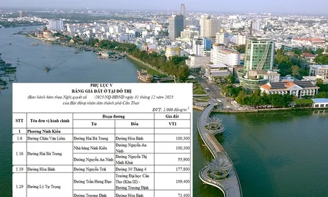 Bảng giá đất Cần Thơ 2026: Top 10 tuyến đường có giá trên 100 triệu/m2