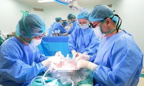 Thực hiện thành công ca ghép gan cuối cùng năm 2025