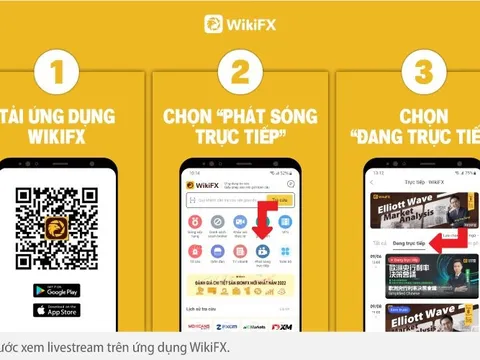 Livestream WikiFX mong muốn kết nối cộng đồng Trader Việt Nam và thế giới
