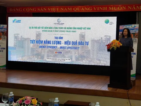 Cải thiện hiệu suất và đầu tư tiết kiệm năng lượng trong các ngành Công nghiệp tại Việt Nam