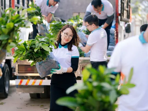 ABBANK gây quỹ thành công 100.000 cây quế giúp người dân Yên Bái xây dựng tương lai bền vững