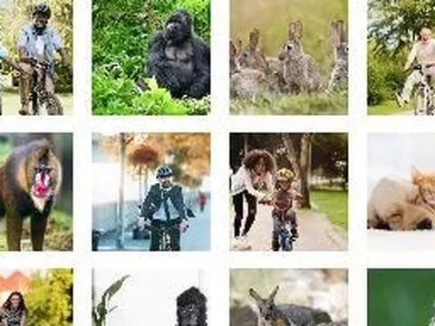 Một tính năng Google chưa muốn kích hoạt vì sai lầm trong quá khứ