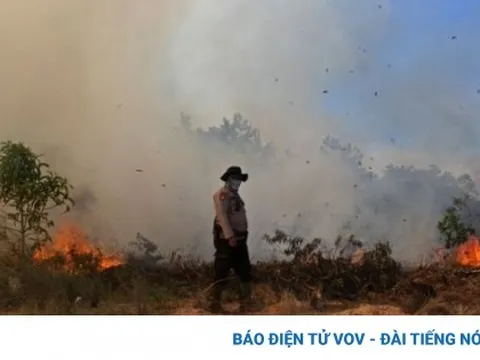 Indonesia làm mưa nhân tạo chống cháy rừng