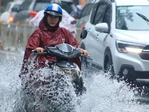Cuối tuần mưa lớn, đường ngập, cây đổ ở TP HCM