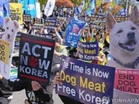 Hàn Quốc thông qua luật cấm tiêu thụ thịt chó, cho 'thời gian ân hạn' 3 năm