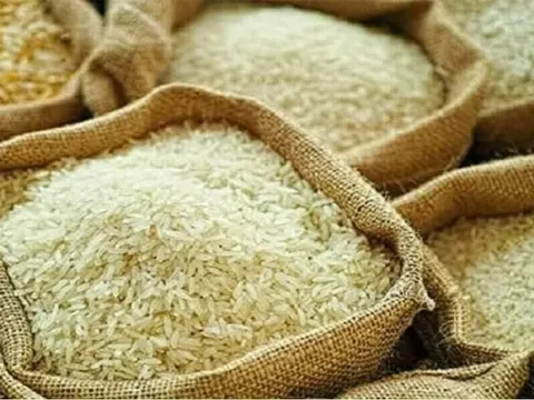 Giá gạo xuất khẩu của Thái Lan thấp nhất trong 9 năm