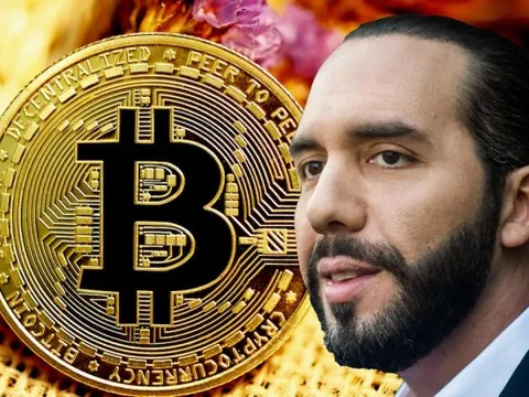 Bitcoin đạt đỉnh, Tổng thống El Salvador đăng bài ăn mừng lãi 156%
