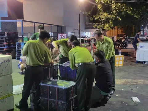 “Kho chim” bí ẩn gần sân bay: Phát hiện 500 con cu ngói không giấy tờ