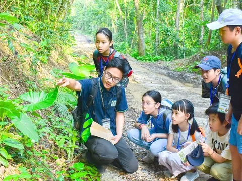 Làm thế nào cho con tuổi thơ hạnh phúc? - Kỳ 4: 'Thả' con vào rừng