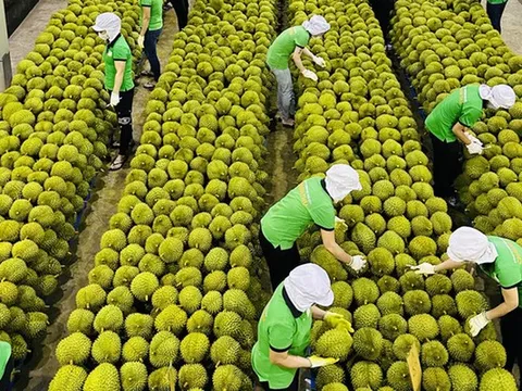 Trung Quốc ra quy định mới về nhập khẩu nông sản