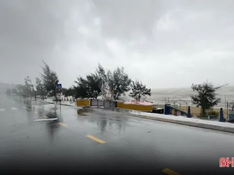 Bão số 12 sẽ dội mưa lớn xuống những tỉnh nào từ chiều nay?