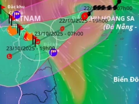 Bão số 12 Fengshen cách Đà Nẵng 240 km, gây mưa rất to từ đêm nay, cục bộ tới hơn 800 mm