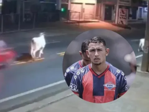 Cầu thủ thiệt mạng vì tông xe vào con bò