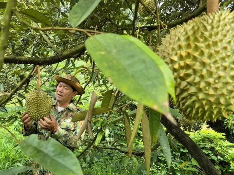 Xuất khẩu nông sản chú ý, Trung Quốc vừa ban hành chính sách mới