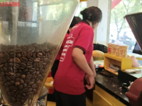 Giá cà phê hôm nay 23-10: Tăng mạnh và dự báo đáng chú ý