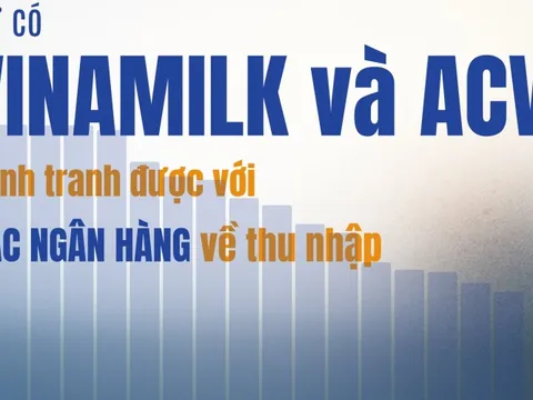Những DN lớn nhất: Chỉ Vinamilk và ACV trả lương bình quân trên 30 triệu/tháng, cạnh tranh với Ngân hàng, công ty nào có thu nhập 70,5 triệu/tháng?