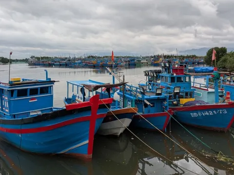 Gia Lai hỗ trợ cho chủ tàu cá chuyển đổi nghề