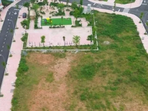 Thị trường đất đấu giá hạ nhiệt sau cơn sốt điên cuồng hơn 1 năm trước