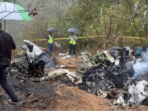 Kinh hoàng: Máy bay lao xuống rừng rậm, không ai sống sót