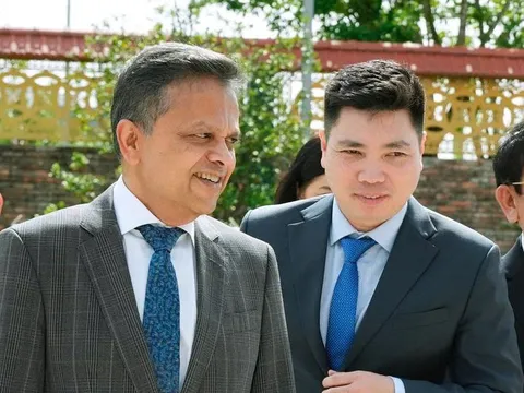 Bắt ông Nguyễn Việt Anh - Phó Tổng giám đốc Công ty dầu khí Nam Sông Hậu