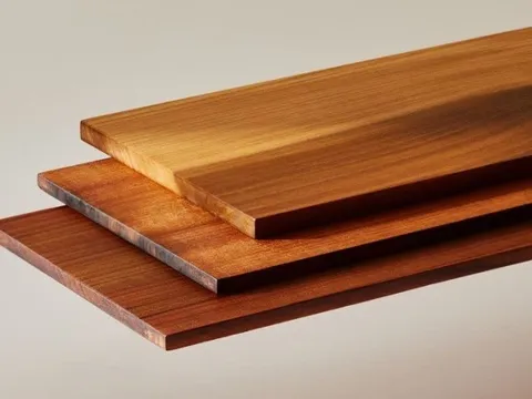 Đây là loại gỗ có khả năng chống đạn