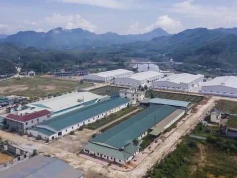 Quảng Ninh có thêm cụm công nghiệp 75ha