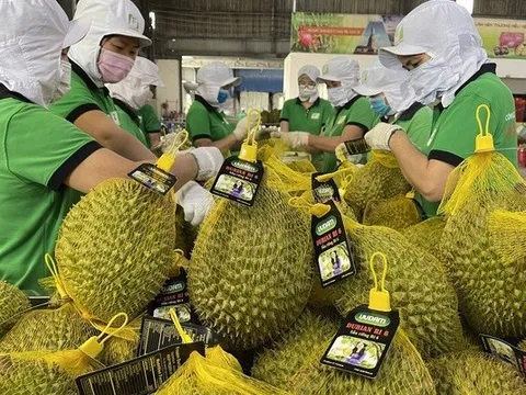 Ban hành quy trình kiểm soát an toàn thực phẩm đối với quả sầu riêng tươi xuất khẩu