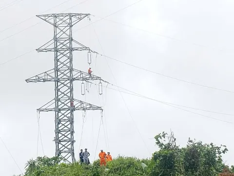 Khắc phục sự cố ngã cột 110kV, cấp điện trở lại cho khu vực phía tây Đà Nẵng sau 5 ngày