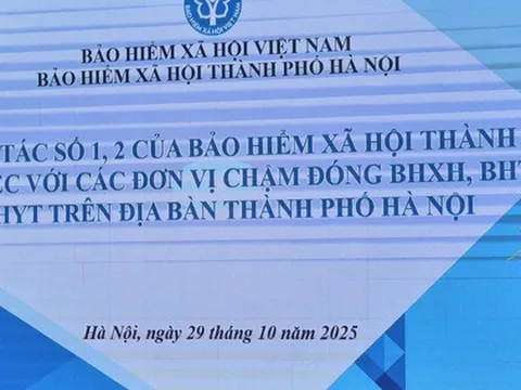 Trốn đóng BHXH, BHTN: Cách tính tiền và số ngày theo quy định mới
