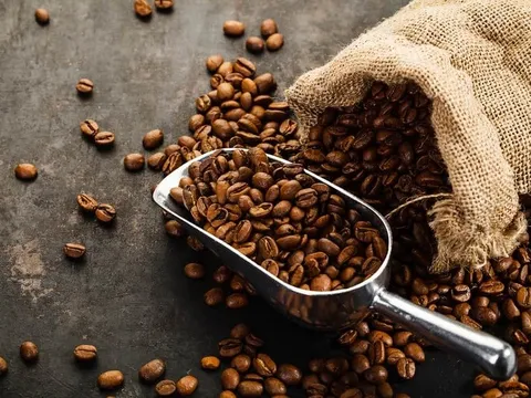 Loại hạt Việt Nam xuất khẩu hơn 5 tỷ USD lợi đủ đường cho sức khỏe