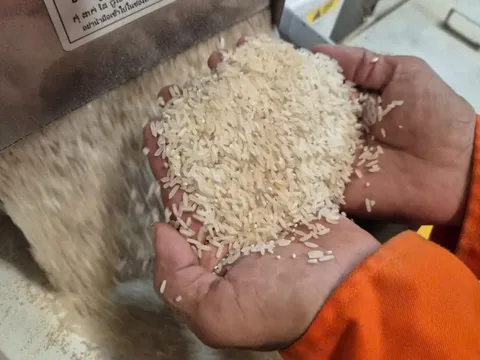 Những loại gạo nào có cơ hội ở thị trường nhập khẩu gạo tới 90%?