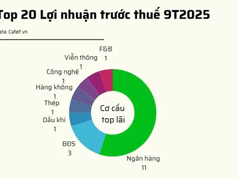 20 doanh nghiệp niêm yết lãi lớn nhất 9T2025: Có 10 cái tên lãi trên 15.000 tỷ gồm 7 ngân hàng và 3 công ty BĐS