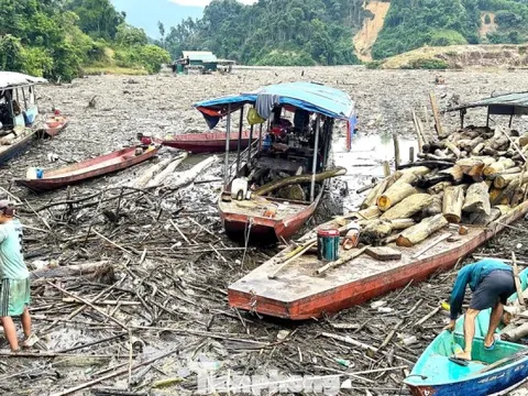 Cận cảnh rác gỗ 'khổng lồ' bủa vây hồ thủy điện lớn thứ 2 tỉnh Nghệ An