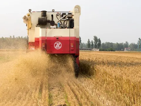 Trung Quốc cảnh báo gián điệp nước ngoài săn dữ liệu hạt giống, đe dọa an ninh lương thực